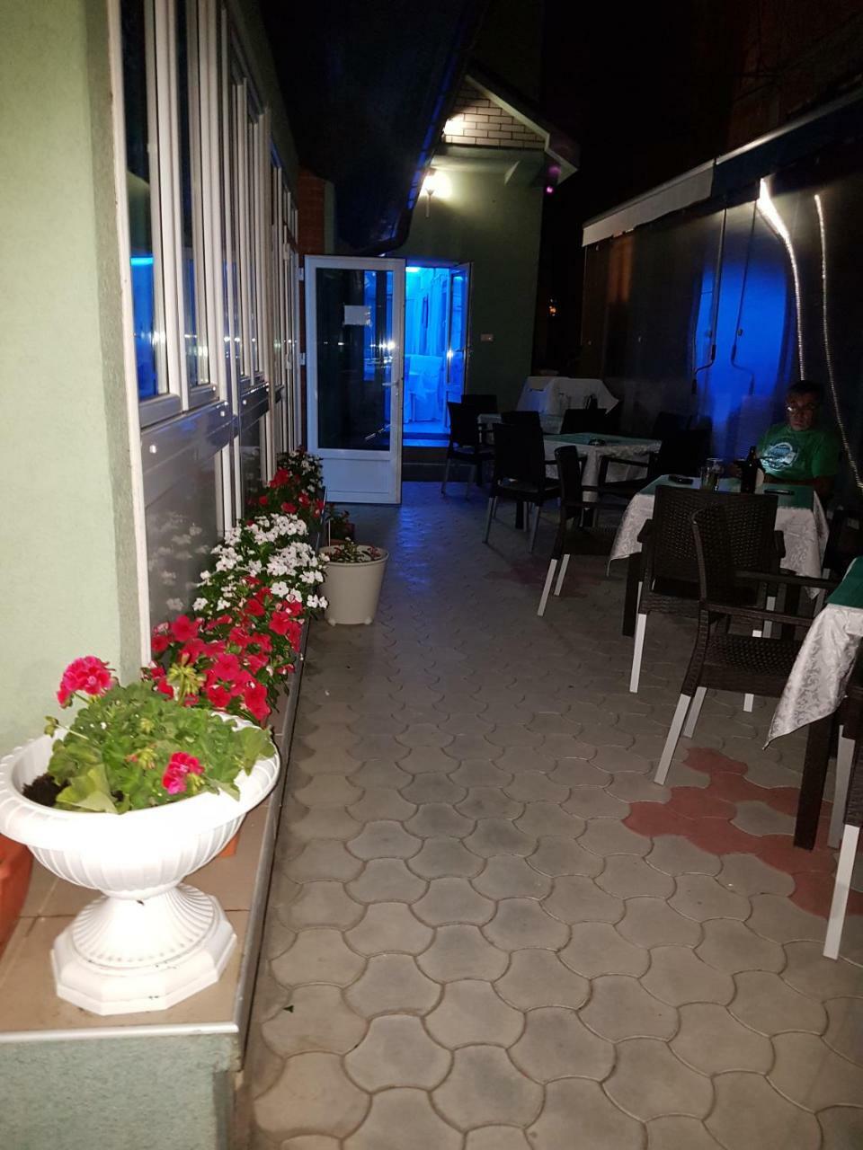 Golden Danube Acomodação com café da manhã Veliko Gradište Exterior foto